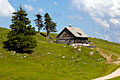 Ferienwohnung Perhinig - Hütte auf dem Dobratsch